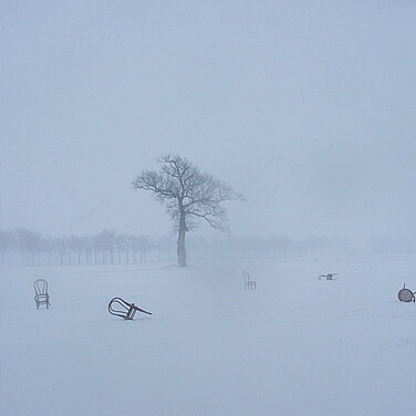 Erreichte Umweltziele 2024