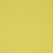 424 Leuchtgelb/Ockergelb