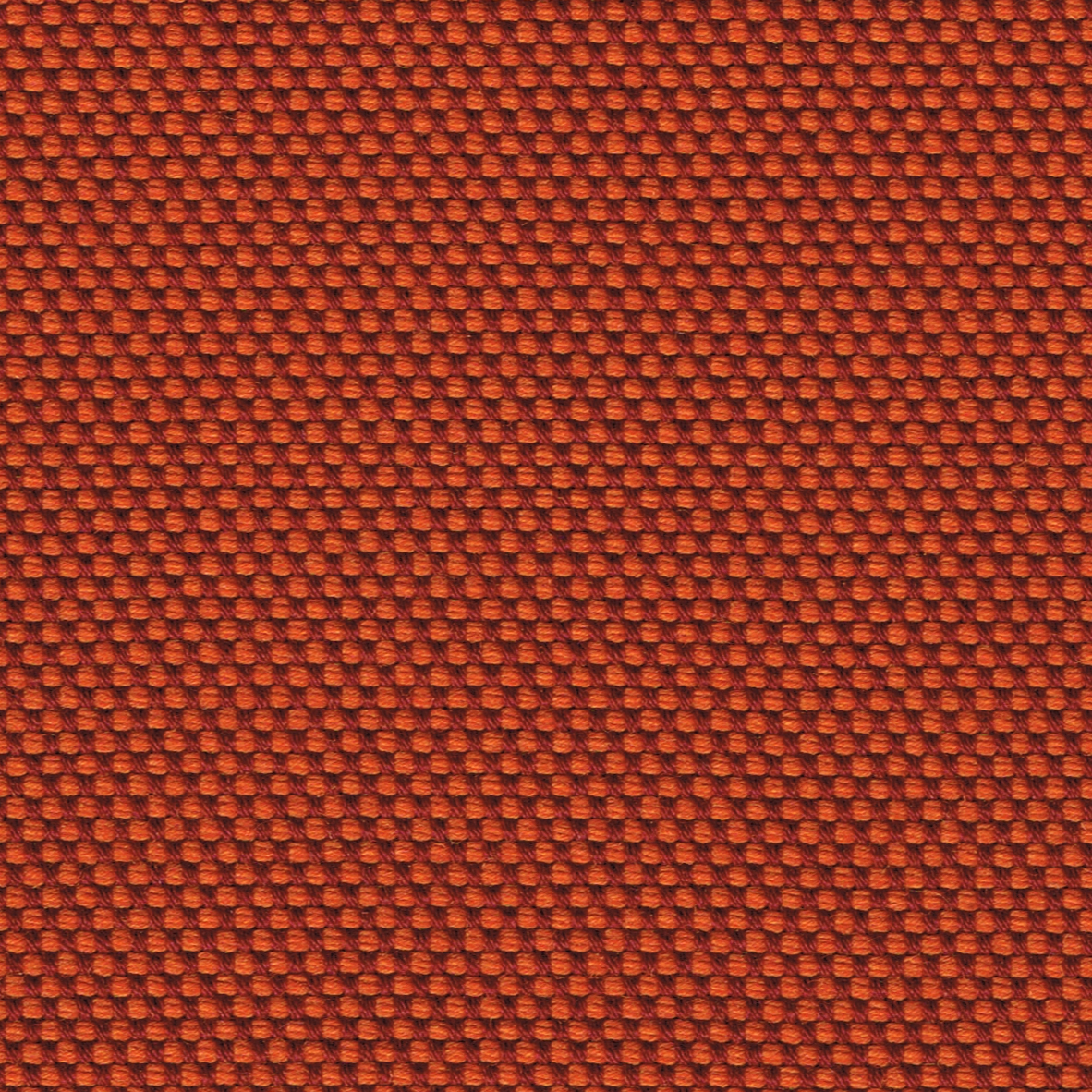 18 Coral