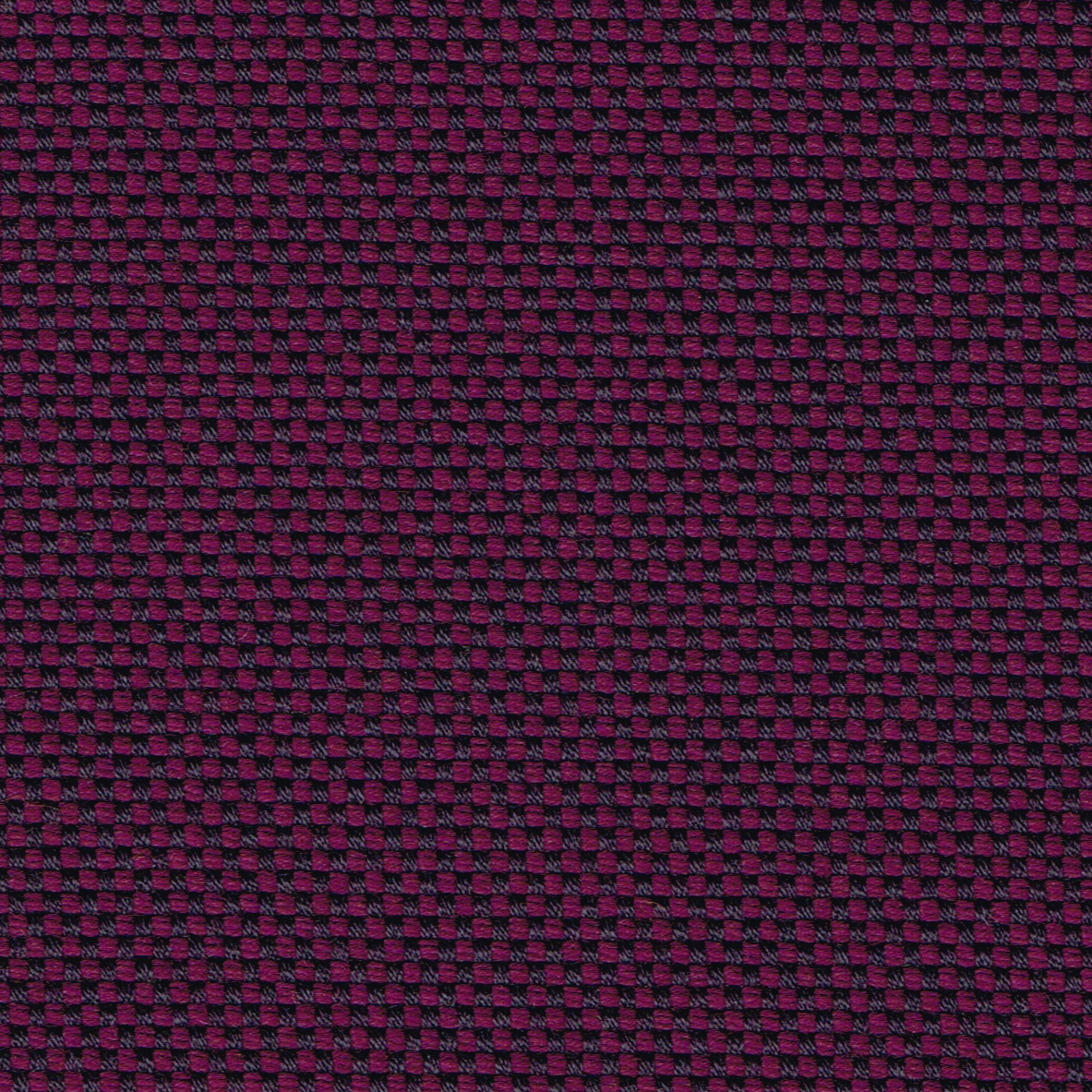 23 Viola