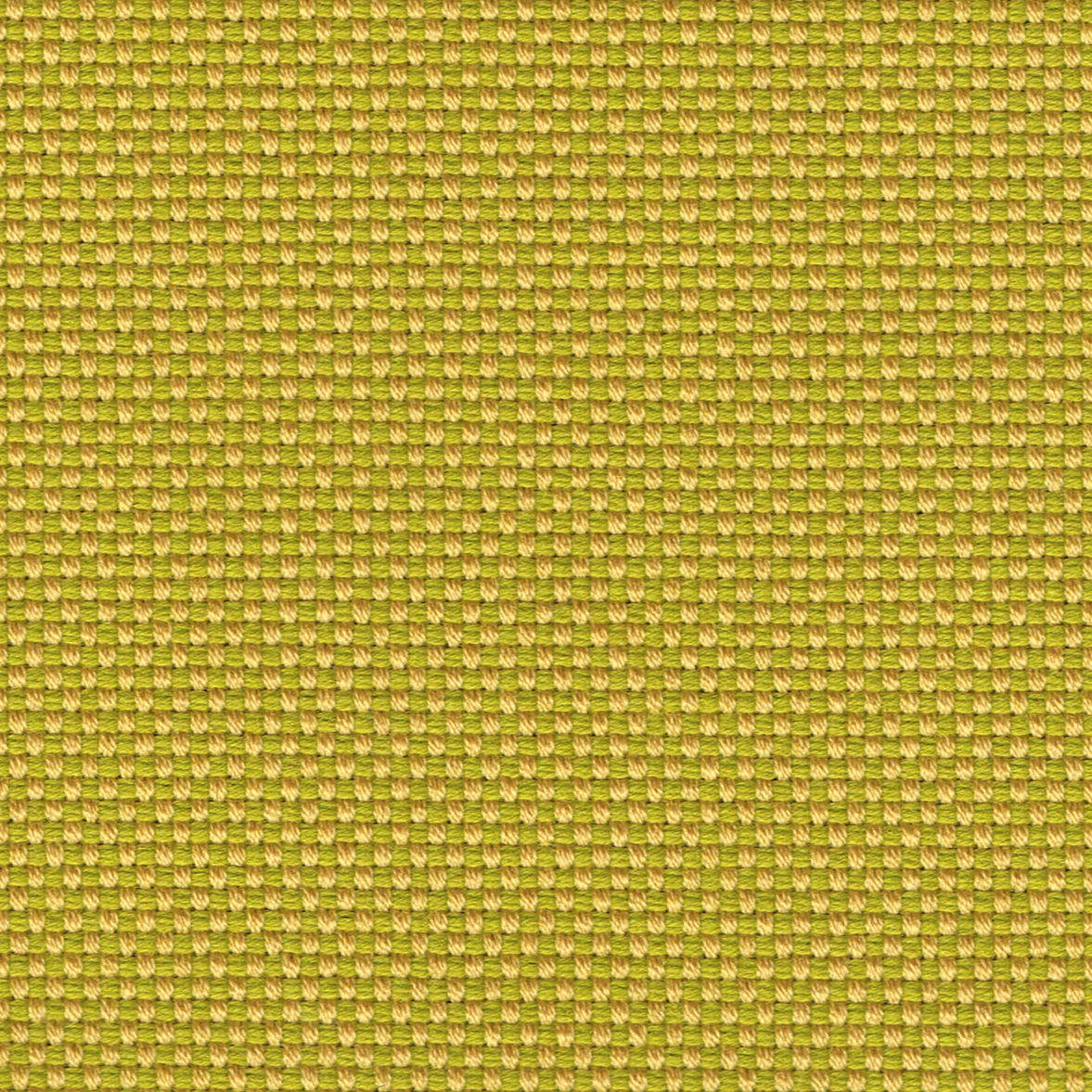 40 Pear