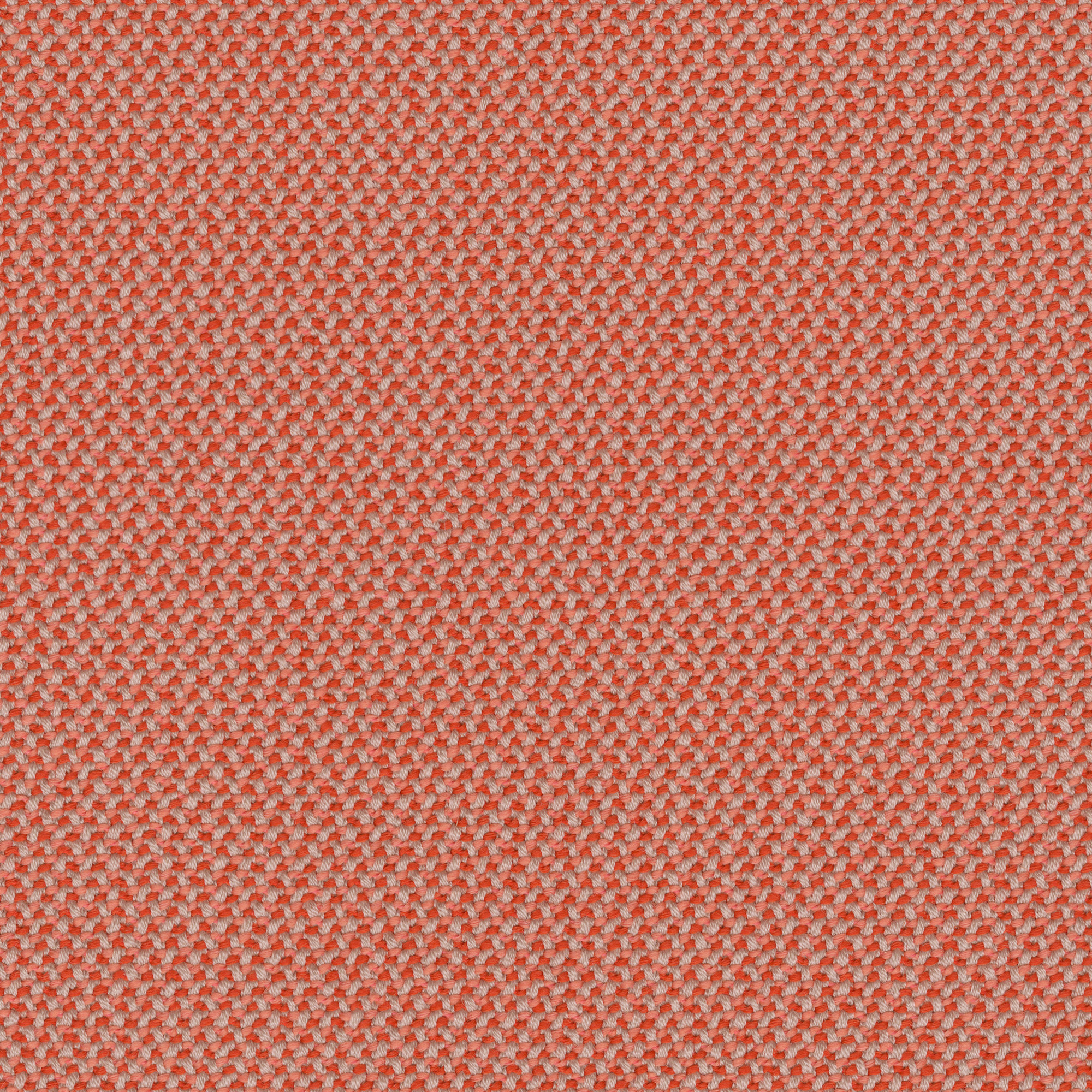 grapefruit