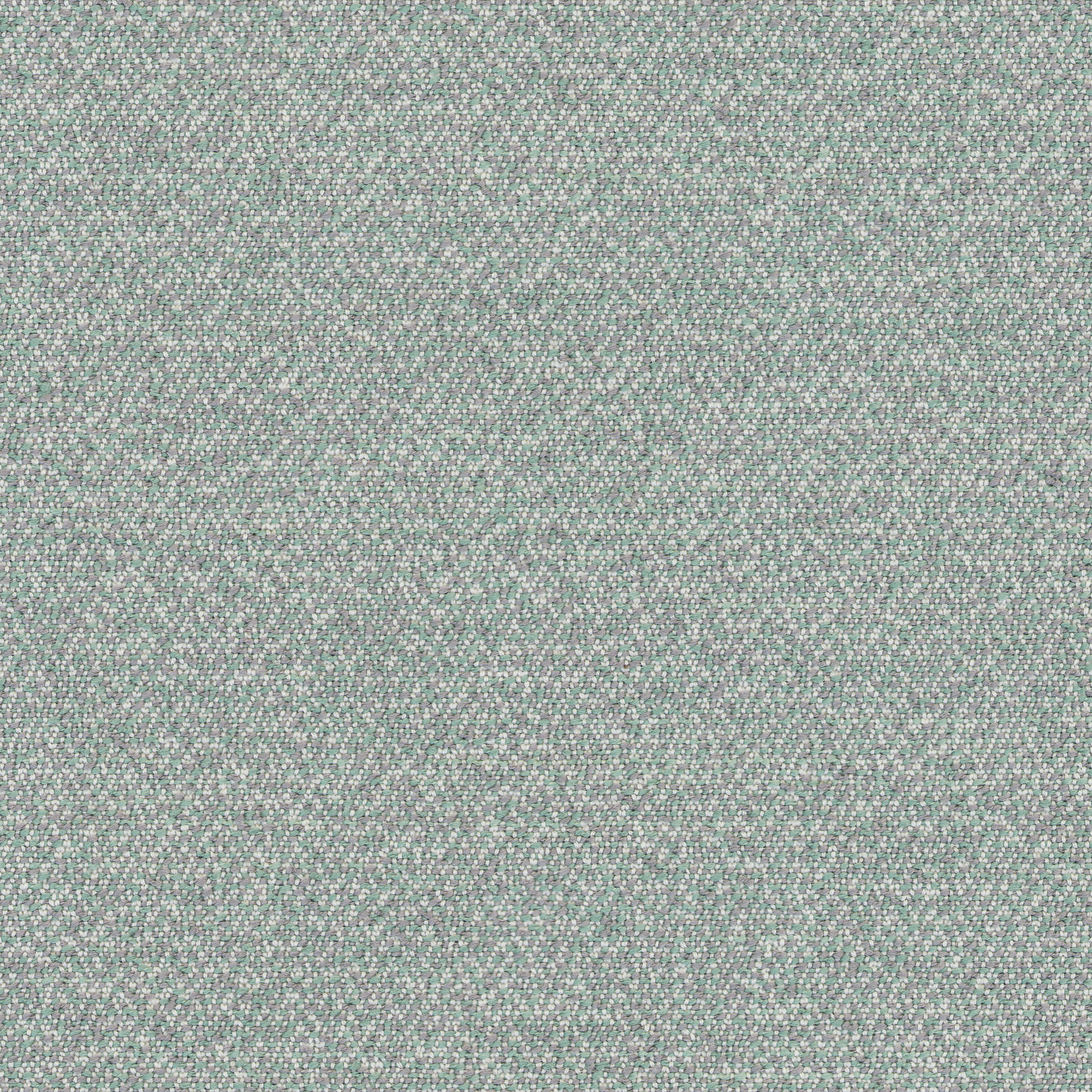 ray