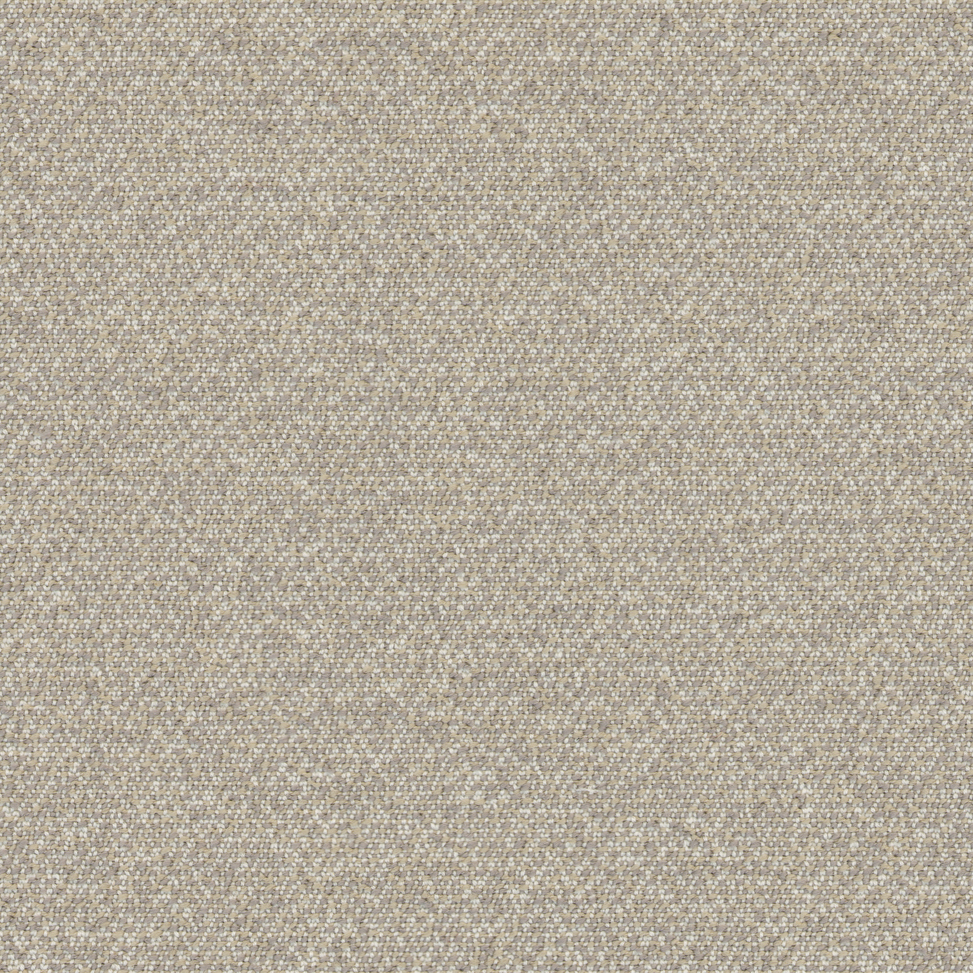 angora