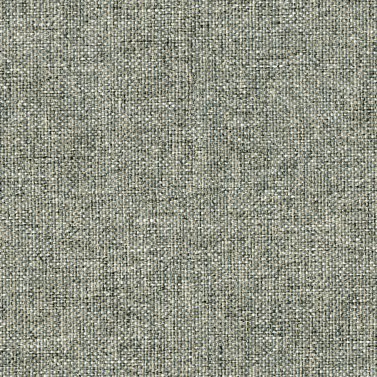 EGL01 Vitreous