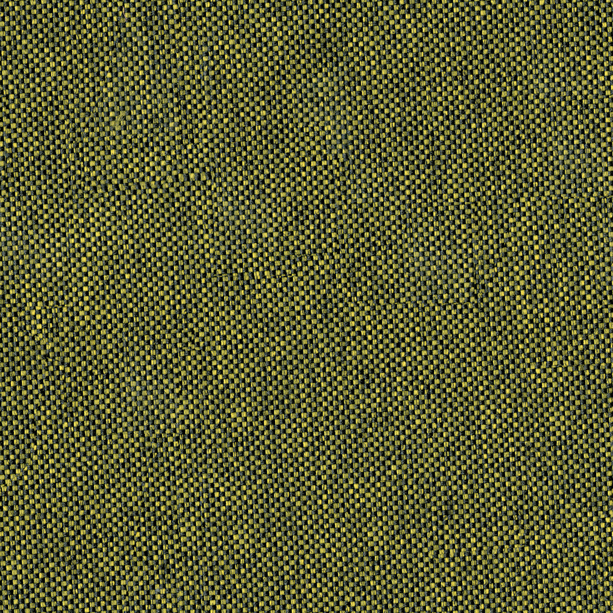 EGL31 Olive
