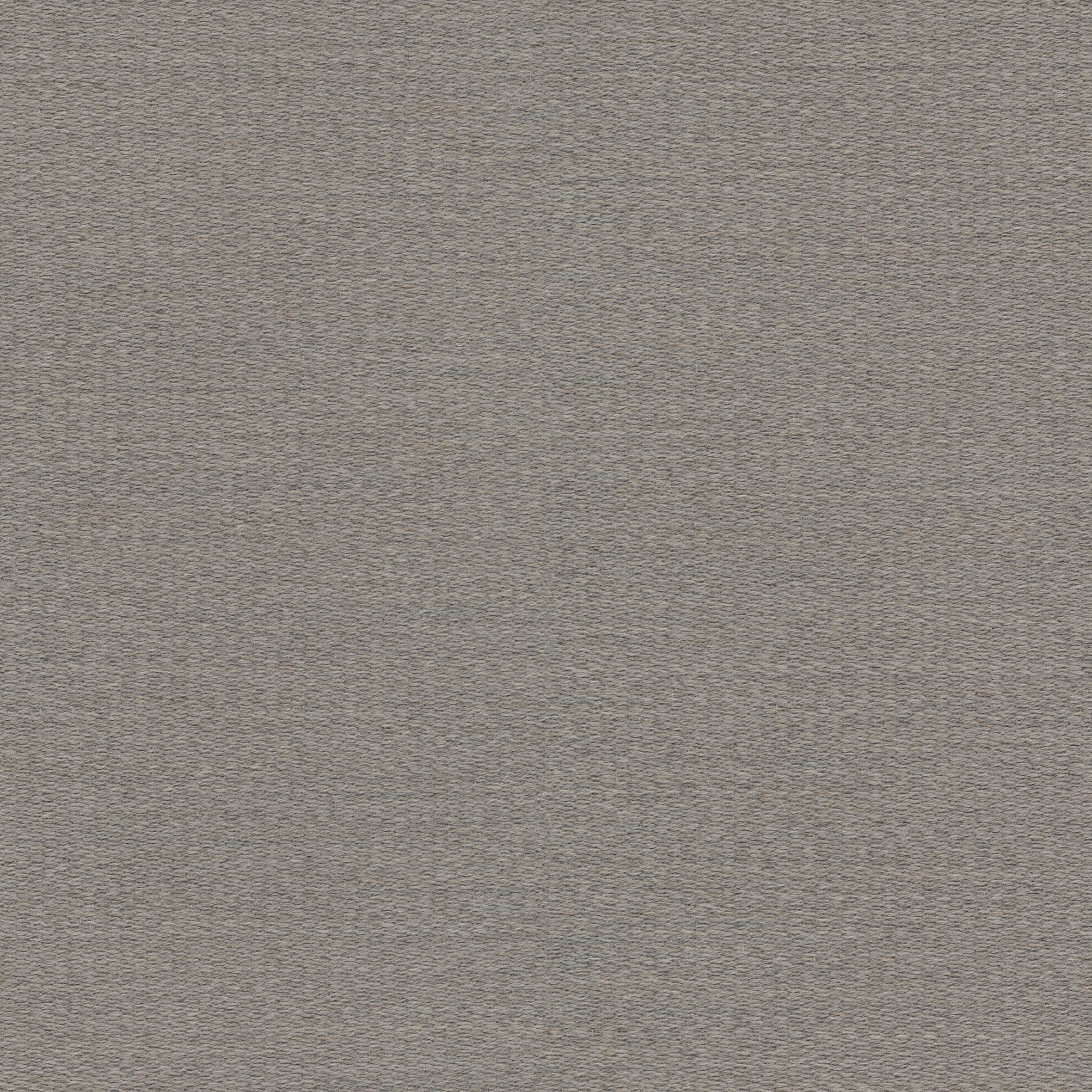 3101