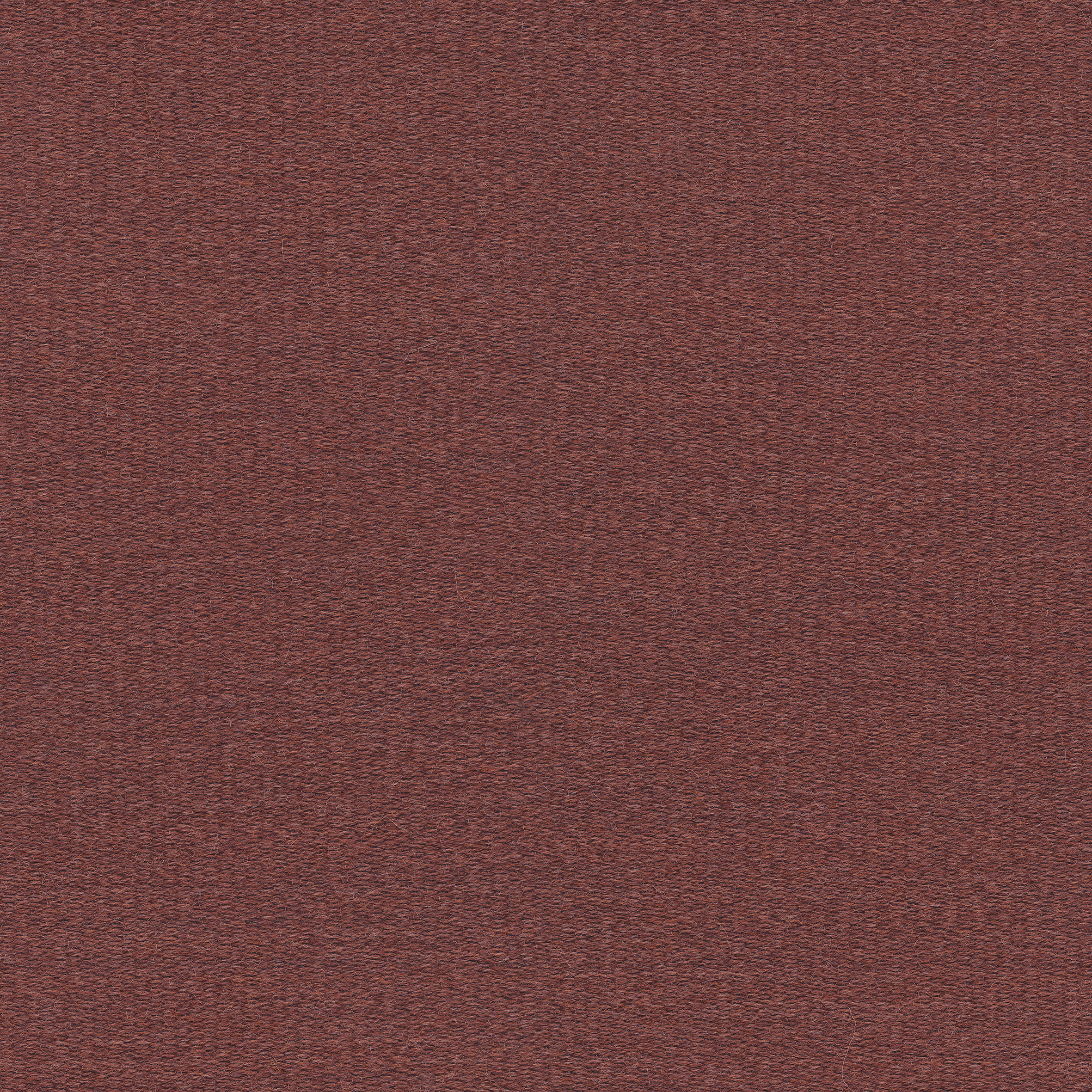8101