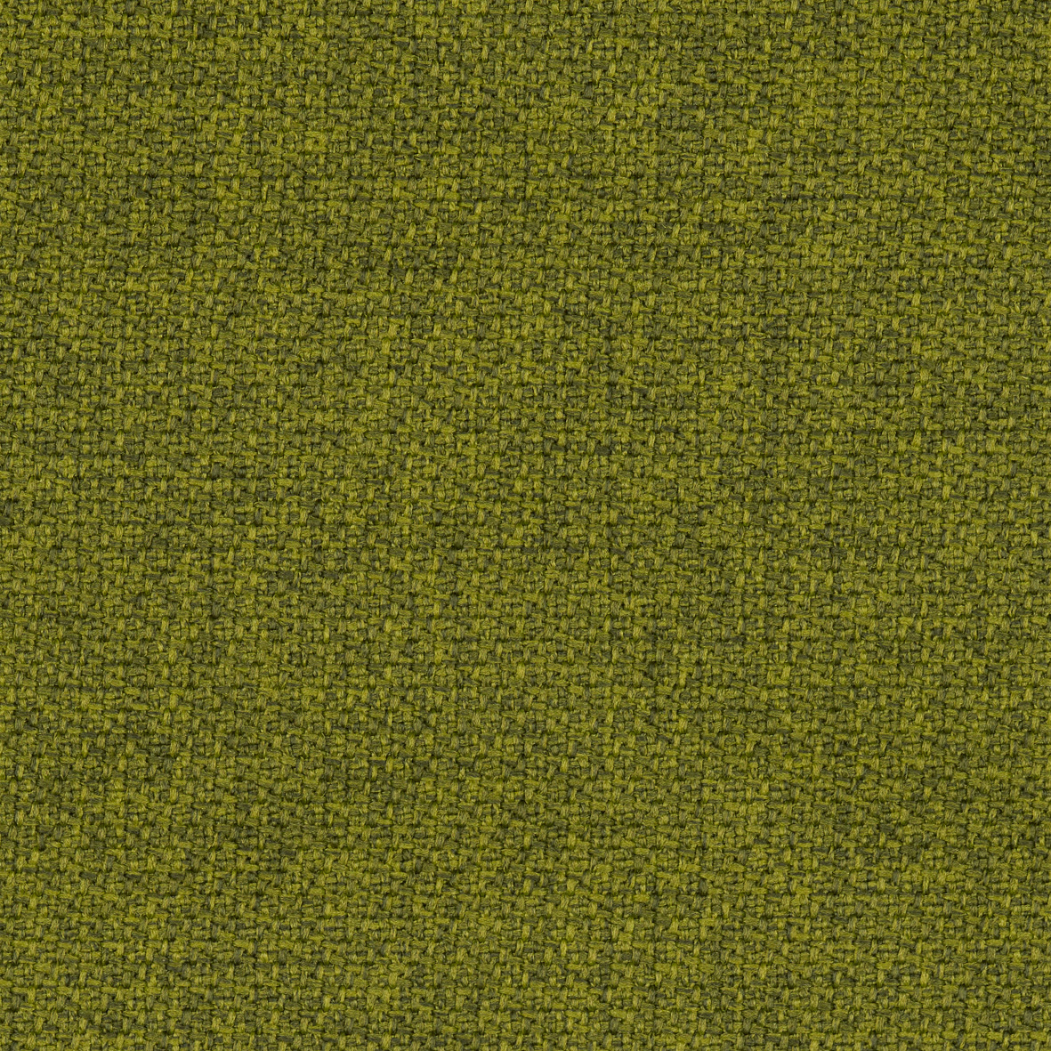 68119