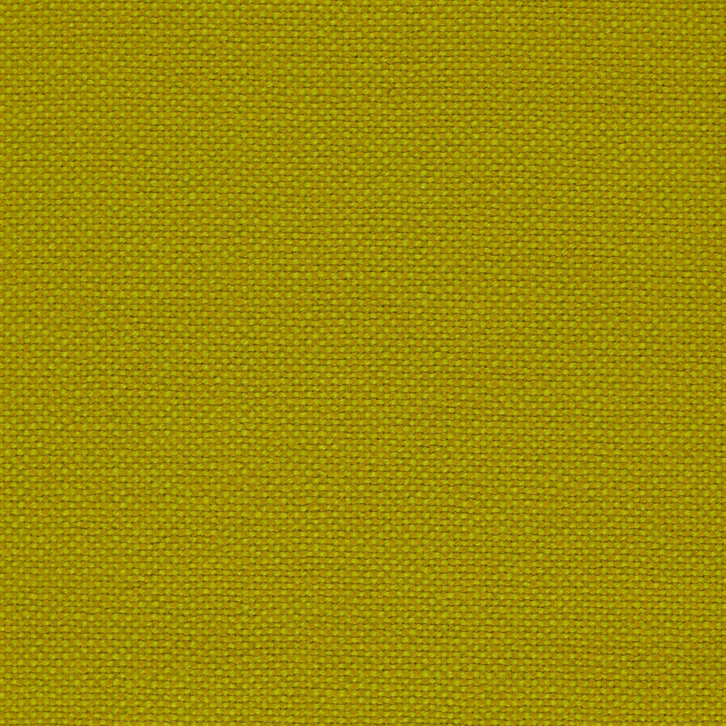 420 Yellow orange