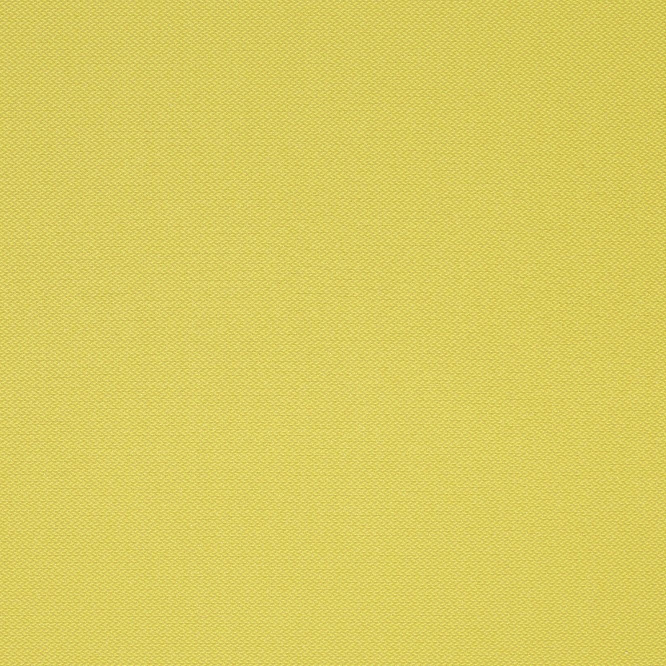 424 bright yellow – ochre yellow