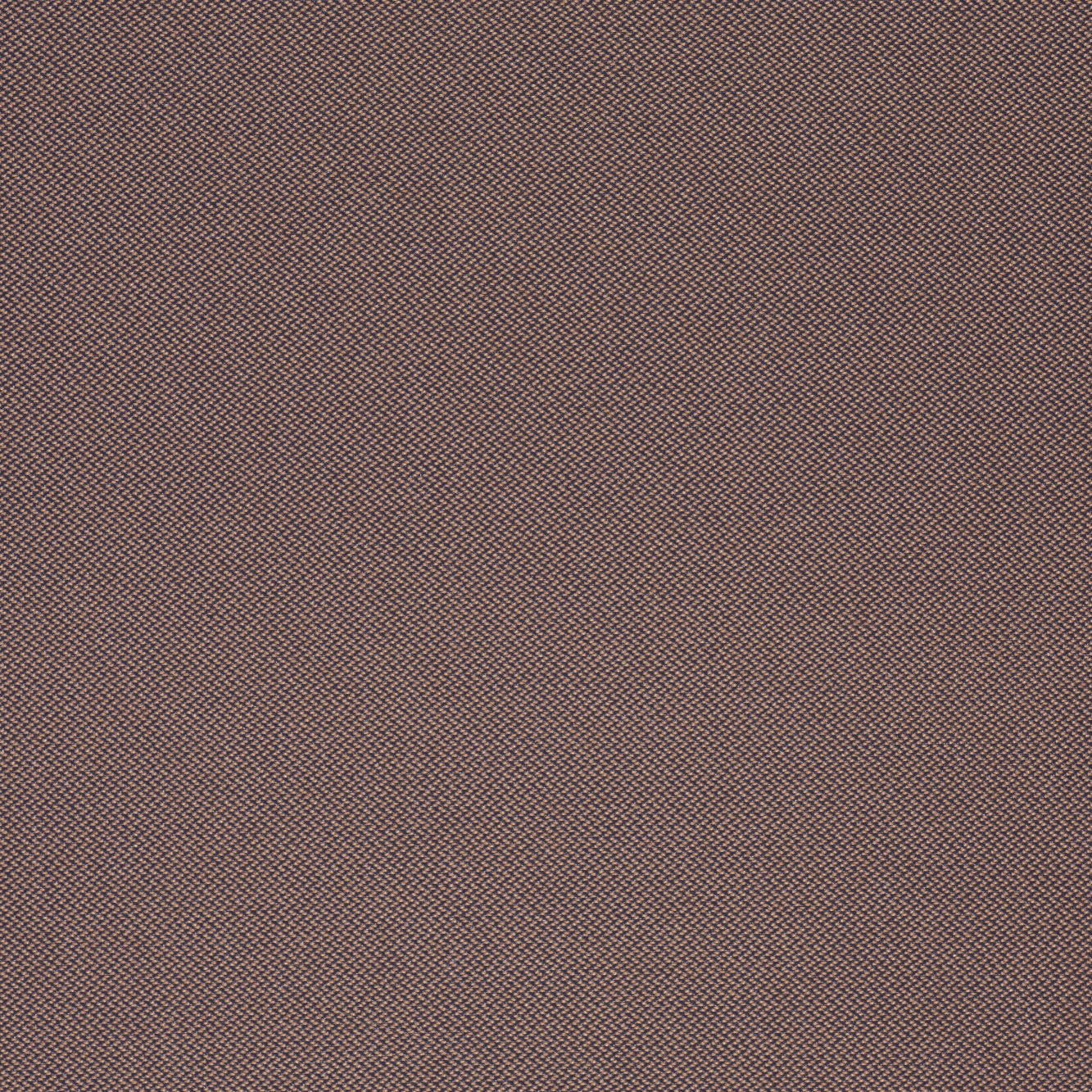 454 pastel yellow – graphite grey