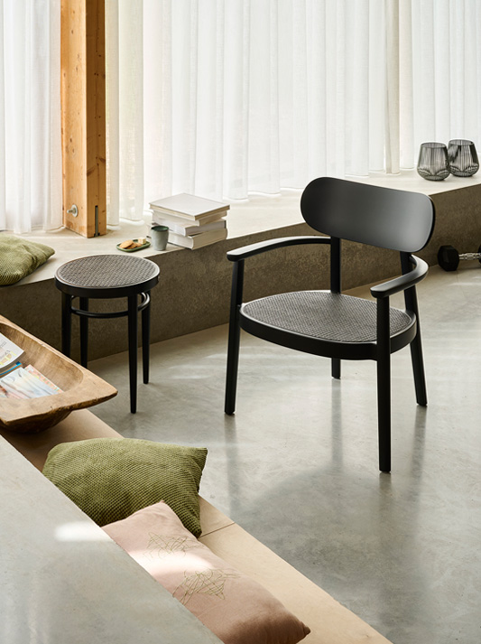 Lassen Sie sich inspirieren: THONET 119 | Holzssessel mit Armlehnen 119 MF