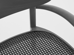 Lassen Sie sich inspirieren: THONET 119 | Holzssessel mit Armlehnen 119 MF