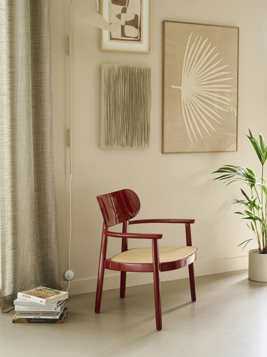 Lassen Sie sich inspirieren: THONET 119 | Holzssessel mit Armlehnen 119 MF