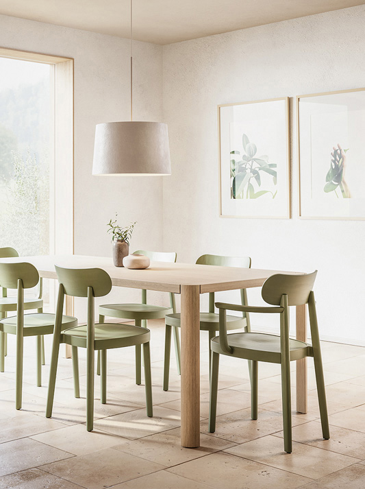 Lassen Sie sich inspirieren: THONET 118 | Holzstuhl 118 M